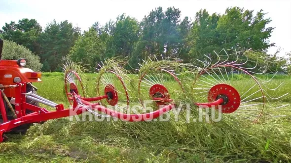 «Грабли-сеноворошилки D-Pol | Д-пол ГВН-4» - фото 6