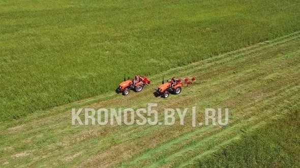 «Грабли-сеноворошилки D-Pol | Д-пол ГВН-4» - фото 4