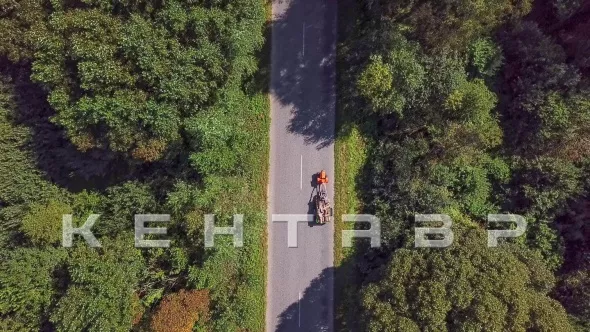 «Мотоблок Кентавр 1080Д (Toyokawa)» - фото 11