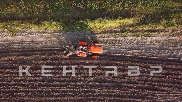 «Минитрактор Кентавр Т-8 LITE 6+2 (Toyokawa) STD agri 5,00-12 / 6,50-16 + (фреза/плуг)» - фото 16