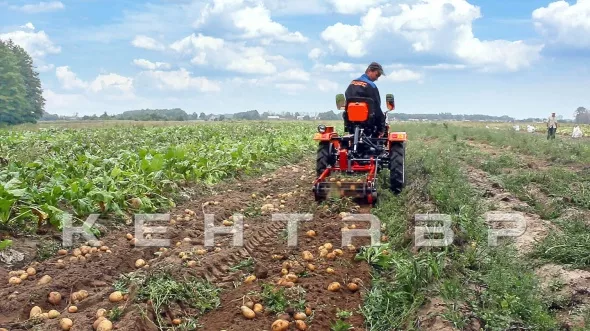 «Минитрактор Кентавр Т-4 LITE 6+2 (Toyokawa) STD agri 5,00-12 / 9,50-16 + (фреза/плуг)» - фото 18