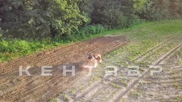 «Почвофреза к минитрактору Кентавр Т-5 (1,1 м)» - фото 4 «Почвофреза к минитрактору Кентавр Т-5 (1,1 м)» - фото 4