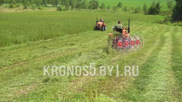 «Грабли-сеноворошилки D-Pol | Д-пол ГВН-4» - фото 2