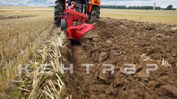 «Трактор Кентавр Т-244 PRO (Toyokawa)» - фото 4