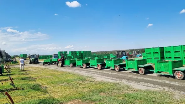 «Трактор Solis-Gold | Солис-Голд 26 Mit 4x4 6+2B STD agri 6.00-12 / 8.3-20 (с ПСМ)» - фото 12