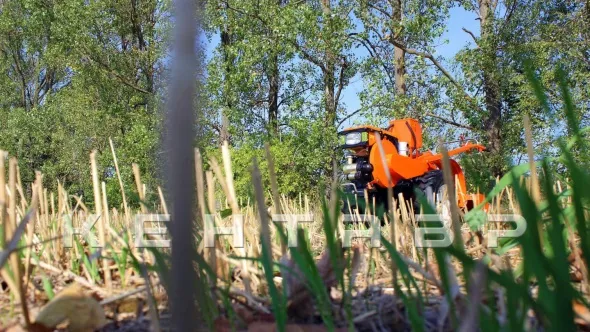 «Мотоблок Кентавр 1081Д (Toyokawa)» - фото 18 «Мотоблок Кентавр 1081Д (Toyokawa)» - фото 18