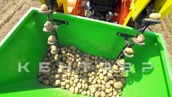 «Трактор Кентавр Т-244 PRO (Toyokawa)» - фото 12