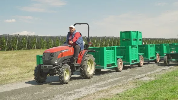 «Трактор Solis-Gold | Солис-Голд 26 Mit 4x4 6+2B STD agri 6.00-12 / 8.3-20 (с ПСМ)» - фото 13