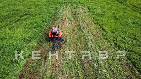 «Минитрактор Кентавр Т-4 LITE 6+2 (Toyokawa) STD agri 5,00-12 / 9,50-16 + (фреза/плуг)» - фото 9