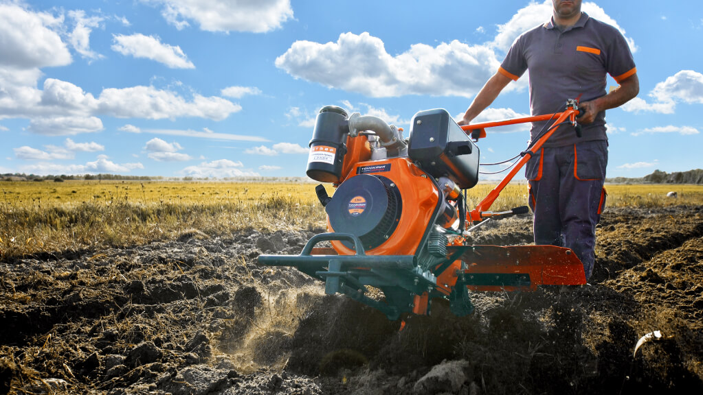 Изображение ТОП-5