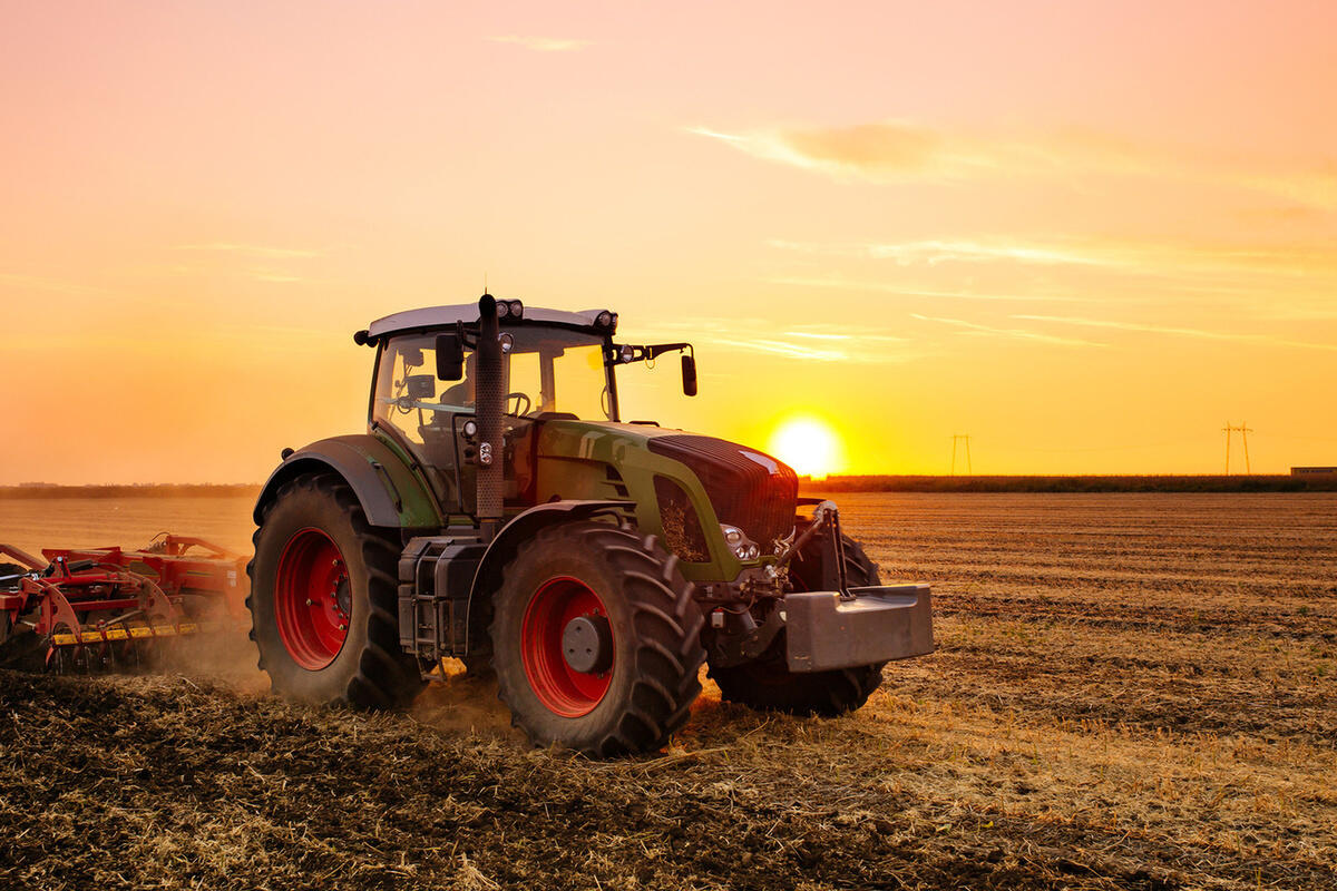 1d6c8888de8ab416d7216eff10d829c6