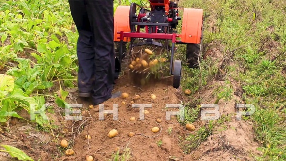«Мотоблок Кентавр 1081Д (Toyokawa)» - фото 14
