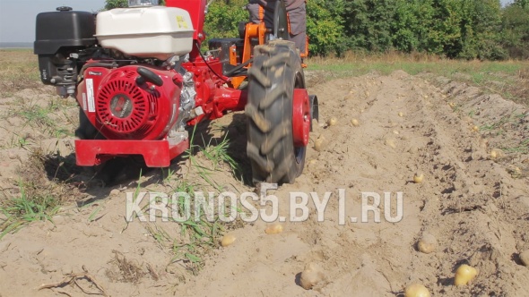 «Мотоблок МТЗ | Беларус 09Н (Honda 9 | 6,00-12)» - фото 21