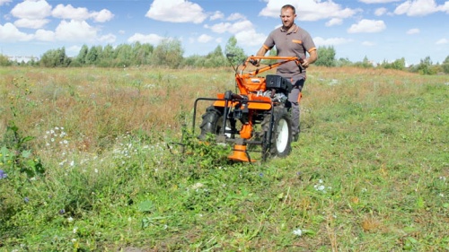 Мотоблок Кентавр 2013Б и 2091Д с роторной косилкой в работе.