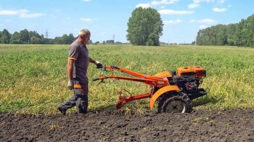 Мотоблок Кентавр 1080Д с плугом и мотоблок Кентавр 1081Д с почвофрезой в работе