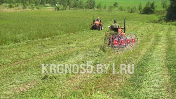 «Грабли-сеноворошилки D-Pol | Д-пол ГВН-4» - фото 3