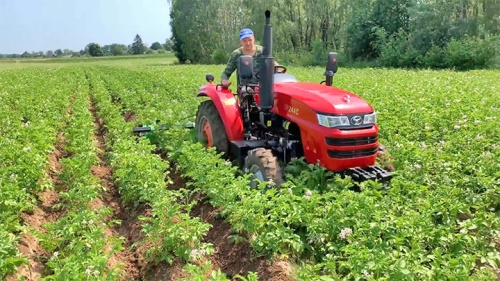 Отзыв на трактор Шифенг SF-254 (244С) с окучником Kerland ОК-300