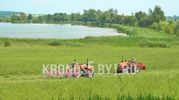 «Грабли-сеноворошилки D-Pol | Д-пол ГВН-4» - фото 4