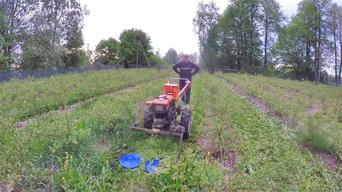 Отзыв на мотоблок Кентавр 1081Д