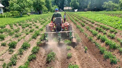 Отзыв на минитрактор Кентавр Т-24 PRO с окучником Kerland ОК-300