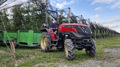 Solis-Gold 26 Бриллиант садов Владикавказа