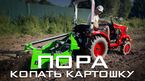 Трактор Кентавр Т-344 с картофелекопалкой Flagman в работе